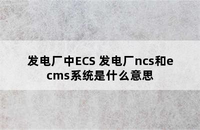 发电厂中ECS 发电厂ncs和ecms系统是什么意思